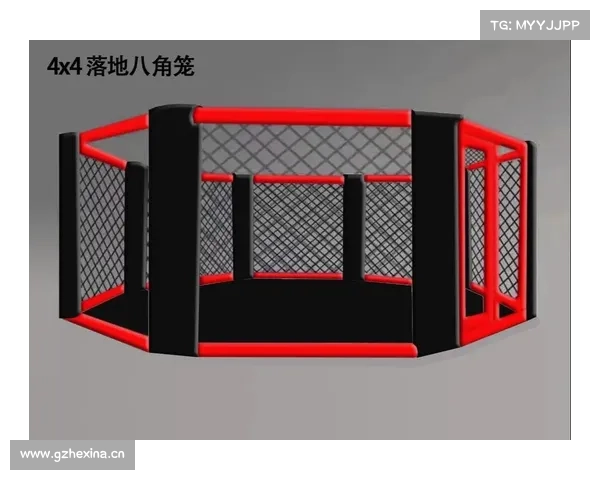 极限格斗攻略—极限格斗健身：极限格斗奥义：掌握八角笼中的制胜法则