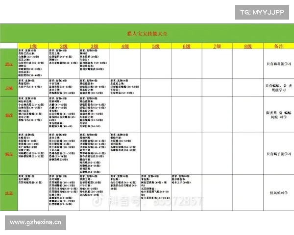 猎人宝宝伤害提升攻略