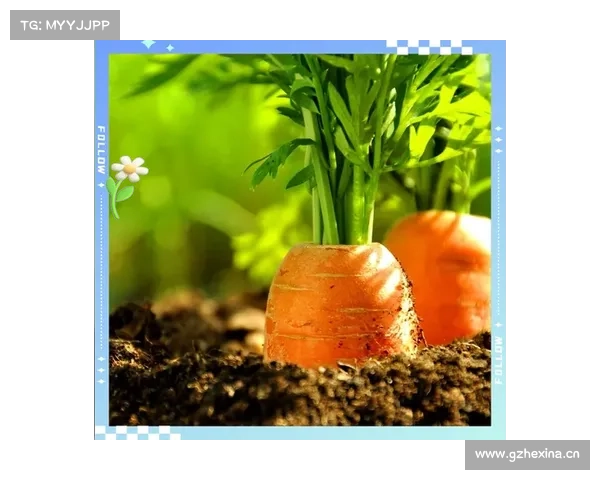 胡萝卜大冒险:探索地下迷宫,收集宝藏 胡萝卜大冒险:探索地下迷宫,收集宝藏